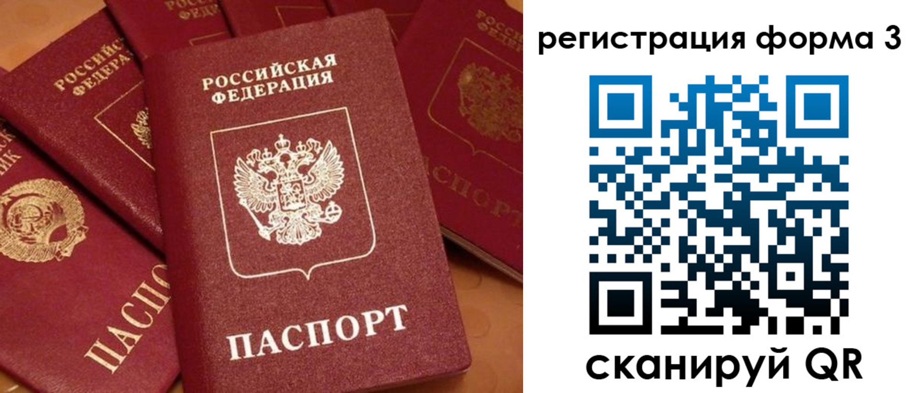 прописка для школы в Твери